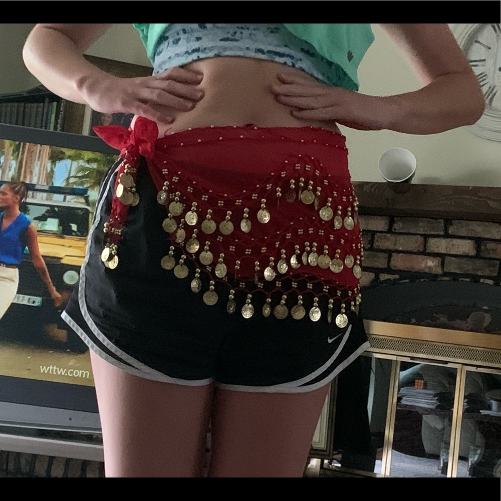 Belly dancer skirt
